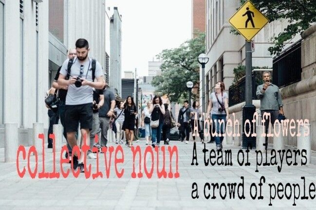 List of collective noun