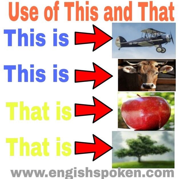 Use of this and that in Hindi